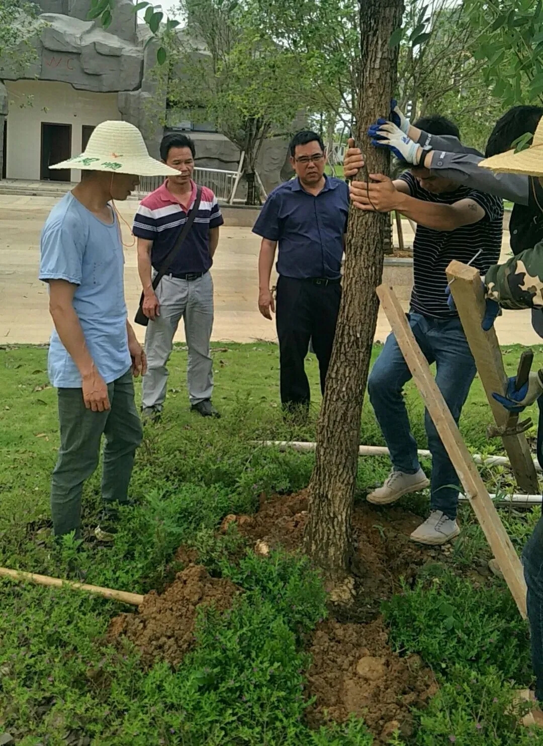 广西钟山县城管最新动态，城市管理开启新篇章